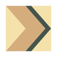 Ladrilho Hidrulico Seta Design Assinado Cat Poli Ladrilar